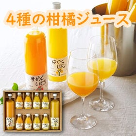 【計10本セット】「伊藤農園」 柑橘ジュース飲み比べセット