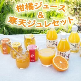 【ジュース計5本＆ジュレ計4個】「伊藤農園」 柑橘ジュース＆寒天ジュレセット | こだわりのストレートジュースとそのジュースをふんだんに使用したゼリーを詰め合わせました