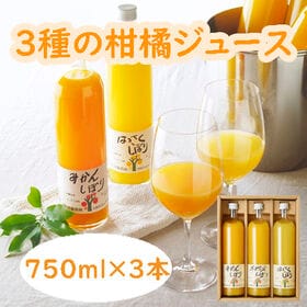 【計3本セット】「伊藤農園」 3種の柑橘ジュース飲み比べセッ...