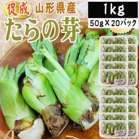 【1kg】山形県産 促成山菜 たらの芽 50g×20パック(...