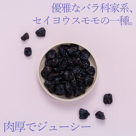 【アメリカ】300g　ドライフルーツ・種無しプルーン