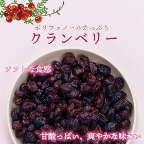 【アメリカ】300g  ドライフルーツ・クランベリー