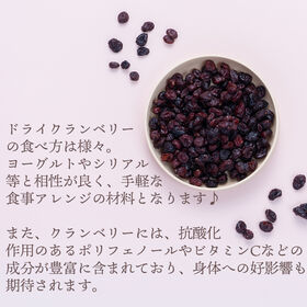【アメリカ】300g  ドライフルーツ・クランベリー