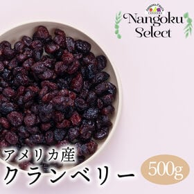 【アメリカ】500g  ドライフルーツ・クランベリー