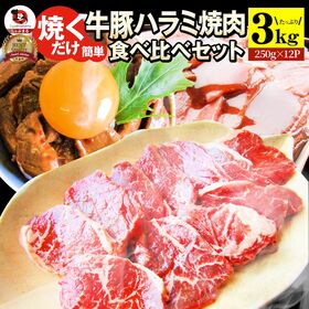ハラミ 食べ比べ 牛肉 豚肉 焼肉 メガ盛り 3kg （25...