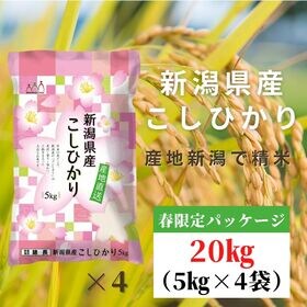【20kg】新潟県産 コシヒカリ 令和5年産