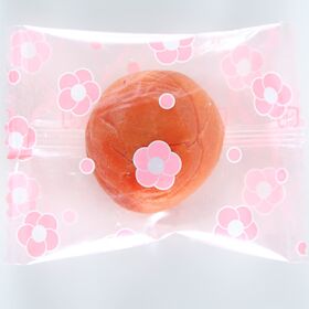 【20粒】一粒づつ袋に入れた農家の梅