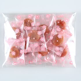 【10個入】一粒づつ袋に入れた農家の梅