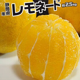 【約2.5kg/2S〜2Lサイズ】静岡県産 レモネード | 新感覚！食べられる甘いレモン！