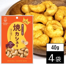 【40g×4袋】池田食品オリジナルカシューナッツ 焼カシュー | さっぽろの工場発職人の思いがぎゅっと詰まった「創作豆」