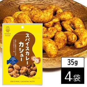 【35g×4袋】池田食品オリジナルカシューナッツ スパイスカ...