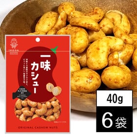 【40g×6袋】池田食品オリジナルカシューナッツ  一味カシ...