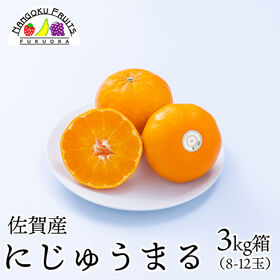 【佐賀】3kg箱　にじゅうまる　＜佐賀を代表する新品種柑橘＞