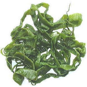 三陸産・茎わかめ500g 味噌汁の具材 ワカメ 海藻