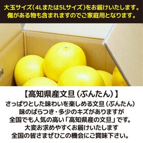 【約10kg(4Lまたは5Lサイズ)】大玉 高知県産 文旦ぶんたん (ご家庭用)