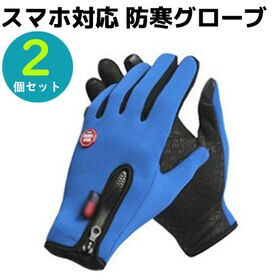 2個セット【ブルー・Lサイズ】スマホ対応 防寒グローブ