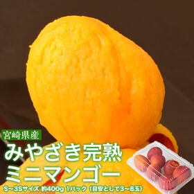 【約400g/S〜3Sサイズ（3〜8玉）】みやざき完熟ミニマンゴー | 贅沢 小さなマンゴーを「丸かじり」