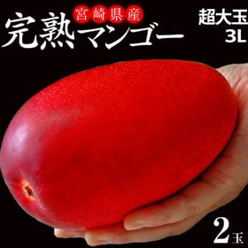 【 3L(450〜509g)×2玉】超大玉『みやざき完熟マンゴー』