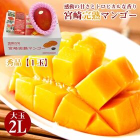 【大玉2Lサイズ×1玉】宮崎完熟マンゴー | マンゴーの王道　宮崎完熟マンゴーをお楽しみください。