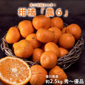 【約2.5kg(サイズ混合)】香川県産 秀~優品 柑橘「農6」 | 希少柑橘を入手！