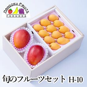 フルーツセット H10(完熟マンゴー・びわ)