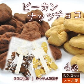 【約45g×4袋】ピーカンナッツチョコ（ココア掛け・キャラメ...