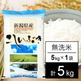 【5kg】令和5年産 越後の米 新潟県産 こしいぶき 無洗米 | 人気の新潟米です。