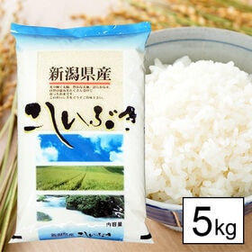 【5kg】令和5年産 越後の米 新潟県産 こしいぶき 白米 | 人気の新潟米です。