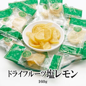 【160g】塩レモン ドライフルーツ （個包装）【熱中症対策】皮まで美味しく