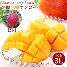 【2玉(3Lサイズ)】大玉宮崎完熟マンゴー | 記憶に残る幸福の果物【マンゴー】！