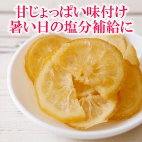 【1kg】塩レモン ドライフルーツ （個包装）【熱中症対策】皮まで美味しく
