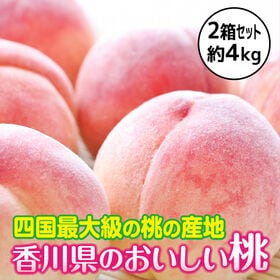 【予約受付】7/1~順次出荷【約4kg(8-10玉入)×2箱】香川県産 桃(もも) 四国最大の桃産地 | 温暖な気候で育った香川県の美味しい桃！お中元にも最適です♪