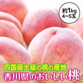 【予約】6/26~順次出荷【約1kg(4~5玉入)】香川県産 桃(もも) 四国最大の桃の産地 | 温暖な気候で育った香川県の美味しい桃は全国でも人気があります♪