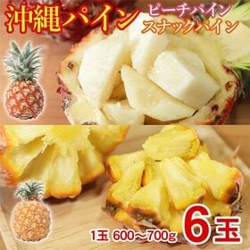 【6玉/1玉600g~700g】沖縄県産ピーチパイン・スナックパイン | 桃のような香りがひろがるパインをお楽しみください