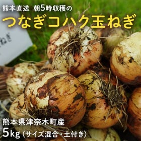 【5kg】熊本県津奈木町産『朝5時収穫のつなぎコハク玉ねぎ』 | 朝収穫後すぐ出荷！瑞々しさが違います