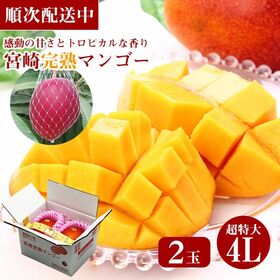 【2玉(4Lサイズ)】超大玉宮崎完熟マンゴー | 記憶に残る幸福の果物【マンゴー】を大玉でお楽しみください！