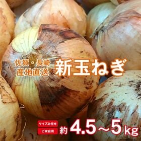 【約4.5kg~5kg】長崎県産・佐賀県産 新玉ねぎ(ご家庭用、傷あり) | 春の味覚「新玉ねぎ」はやわらかくて水分が多く、みずみずしく甘みがあります。