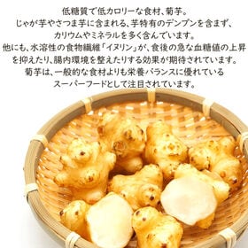 【1袋 26g】菊芋飴　秋田県産 きくいも使用＜無添加＞