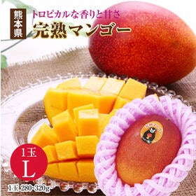 【Lサイズ(1玉)】熊本県産 完熟マンゴー