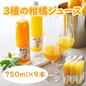 【計9本セット】「伊藤農園」 3種の柑橘ジュース飲み比べセッ...