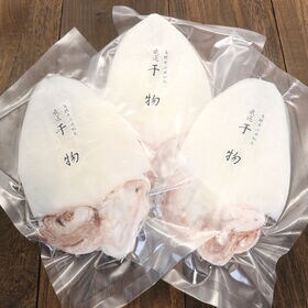 【島根県産】剣先イカ一夜干し【3枚セット】