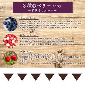 【賞味期限間近】【420g】3種のベリーとココアのビスコッティ※割れ欠けあり（70g×6袋）