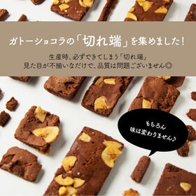 【300g】切れ端ガトーショコラ チョコバナナ(チャック付き)