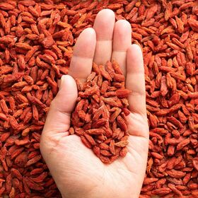 【500g×2袋】 無添加 クコの実 ( ゴジベリー ) スーパーフード【メール便2個口配送】