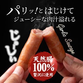 【計1kg(200g×5)】ガーリック薫る 粗挽き ウインナー ソーセージ