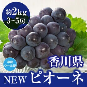 【約2kg(3-5房)】香川県産 ニューピオーネ