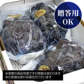 【約2kg(3-5房)】香川県産 ニューピオーネ