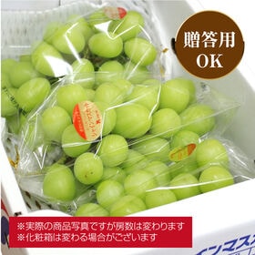 【箱含む約2kg(3-5房)】瀬戸内産シャインマスカット