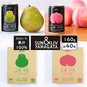 【160g×40本】山形県産果汁100％ジュースアソート（山...
