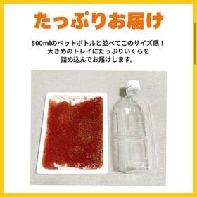 【計1kg(250g×4Por 500g×2P)】いくら醤油漬け イクラサーモン